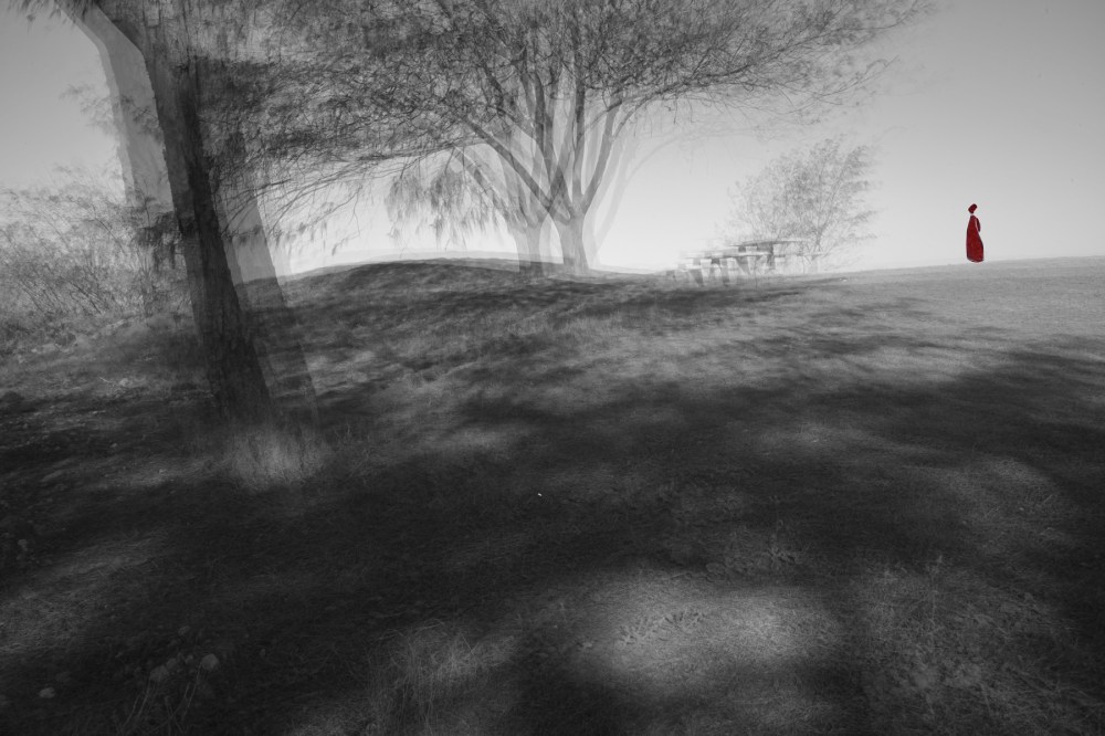 Photo of Distant Shores