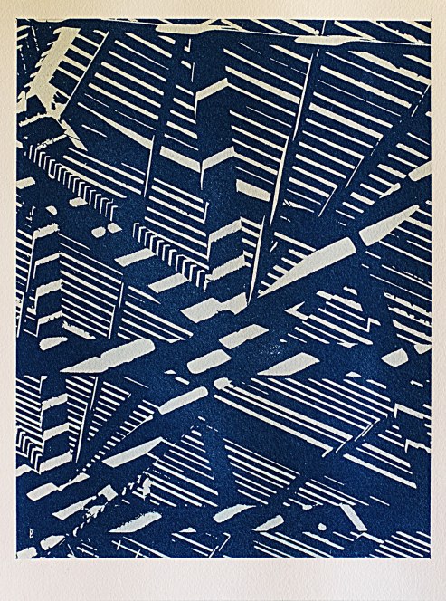 Cyanotype of ceiling of fernery