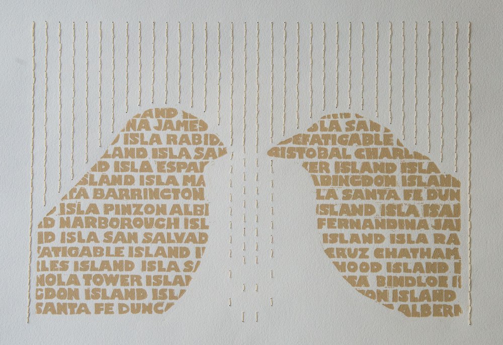 Mixed media work called Galapagos Rain