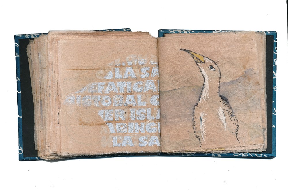 A book based on my time in the Galapagos