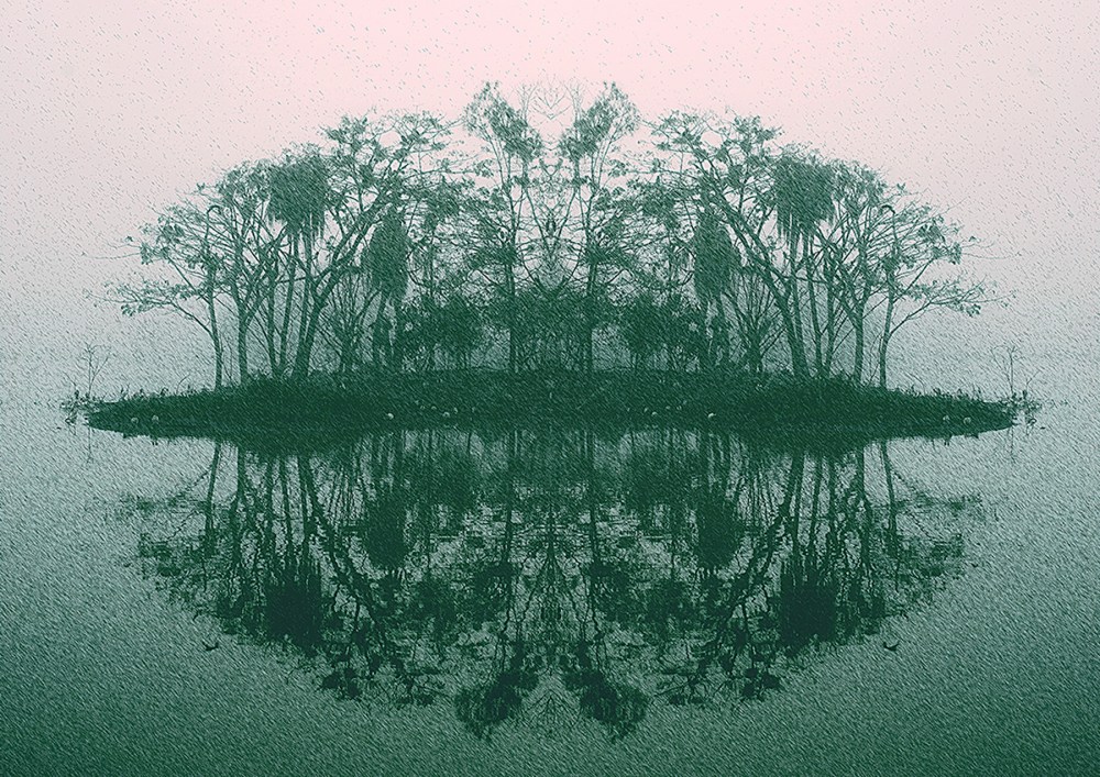 A photo of an island in Murray Lagoon, Rockhampton