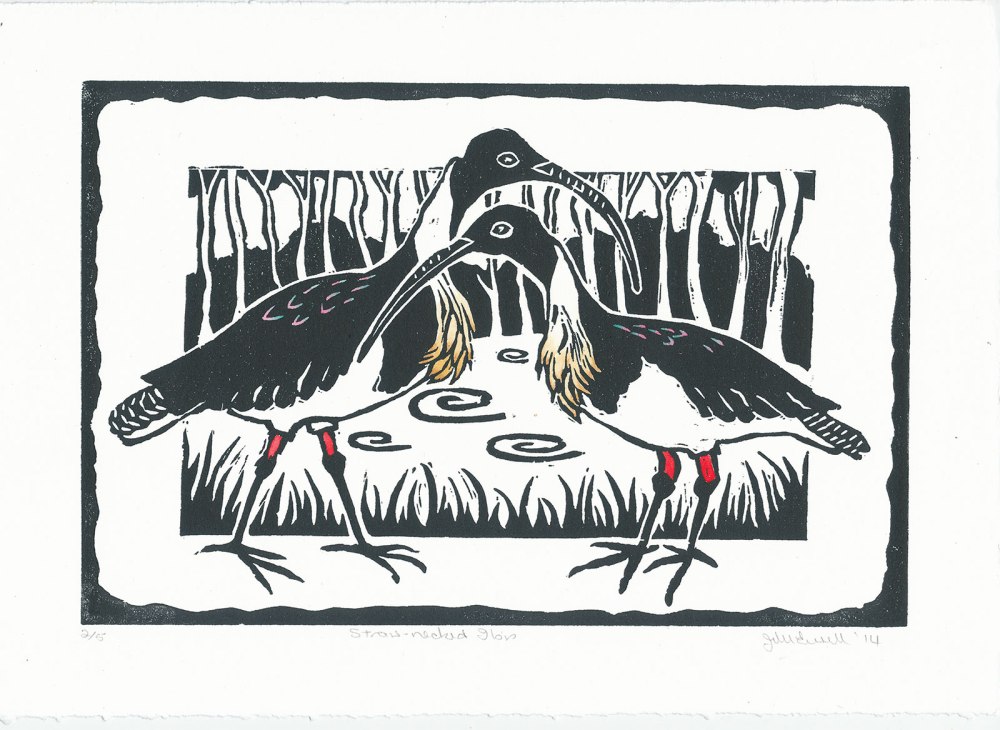 Linocut of Straw Necked Ibis